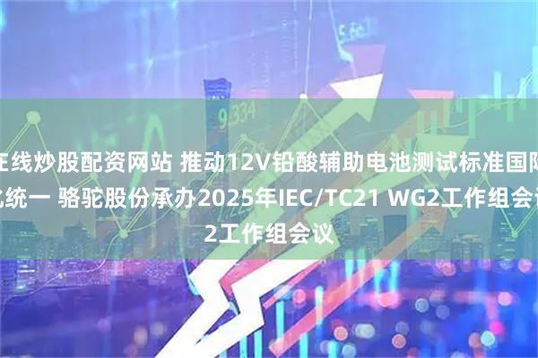 在线炒股配资网站 推动12V铅酸辅助电池测试标准国际化统一 骆驼股份承办2025年IEC/TC21 WG2工作组会议