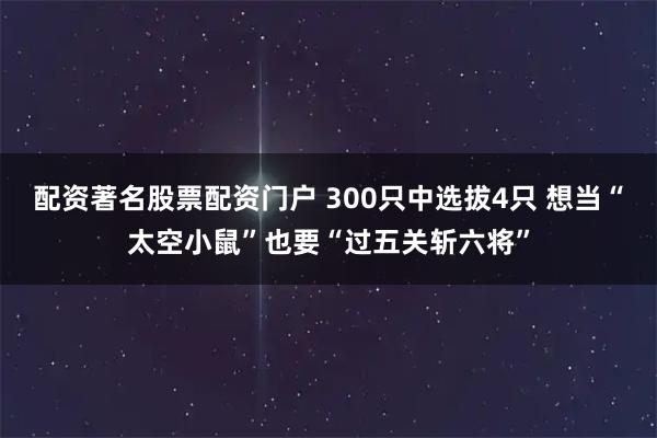 配资著名股票配资门户 300只中选拔4只 想当“太空小鼠”也要“过五关斩六将”